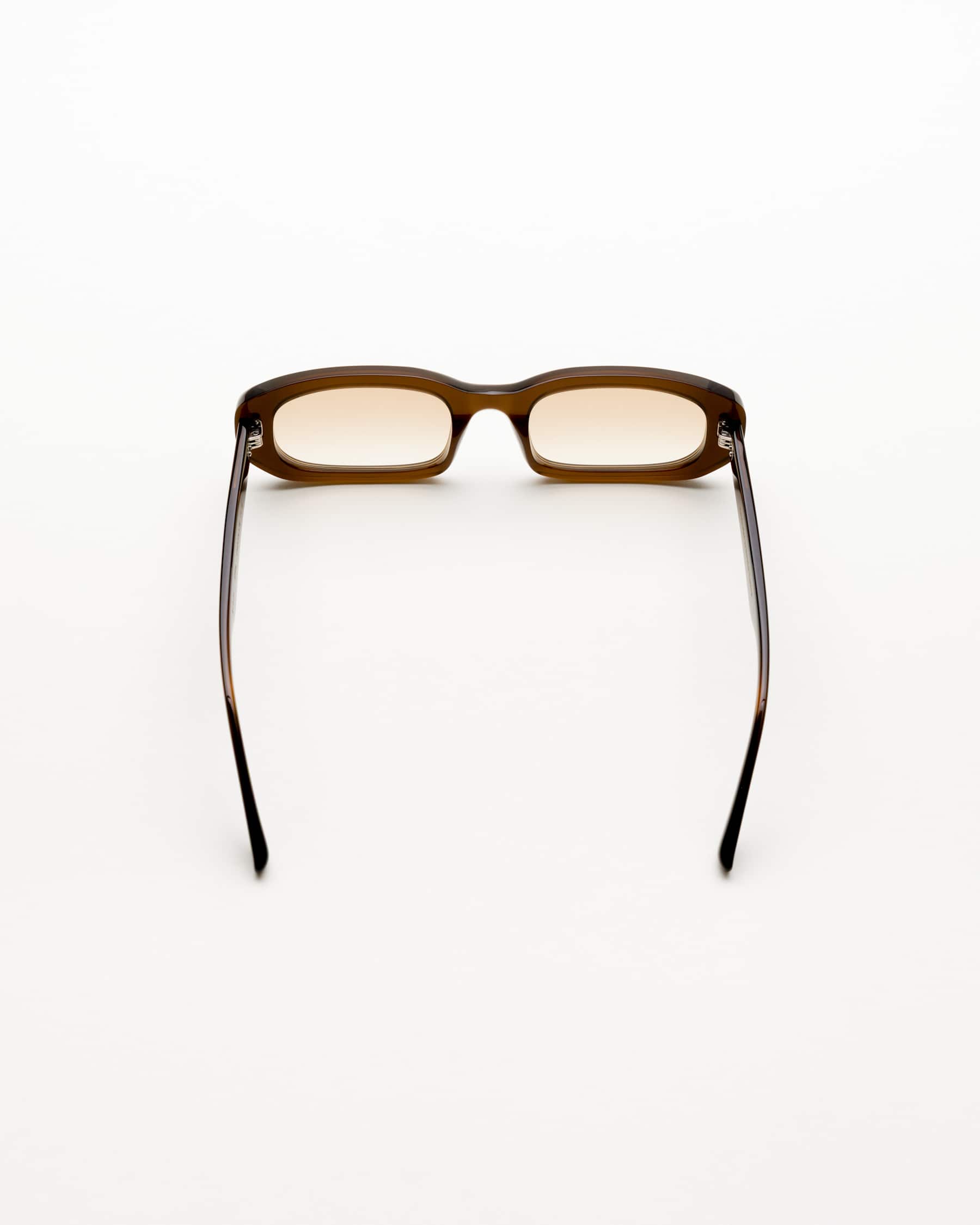 April Chocolate - Brown Gradient Lens