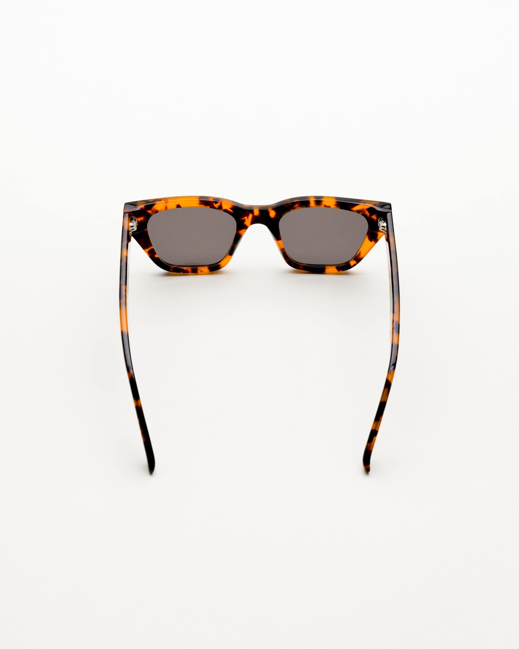 Memphis Havana - Grey Solid Lens
