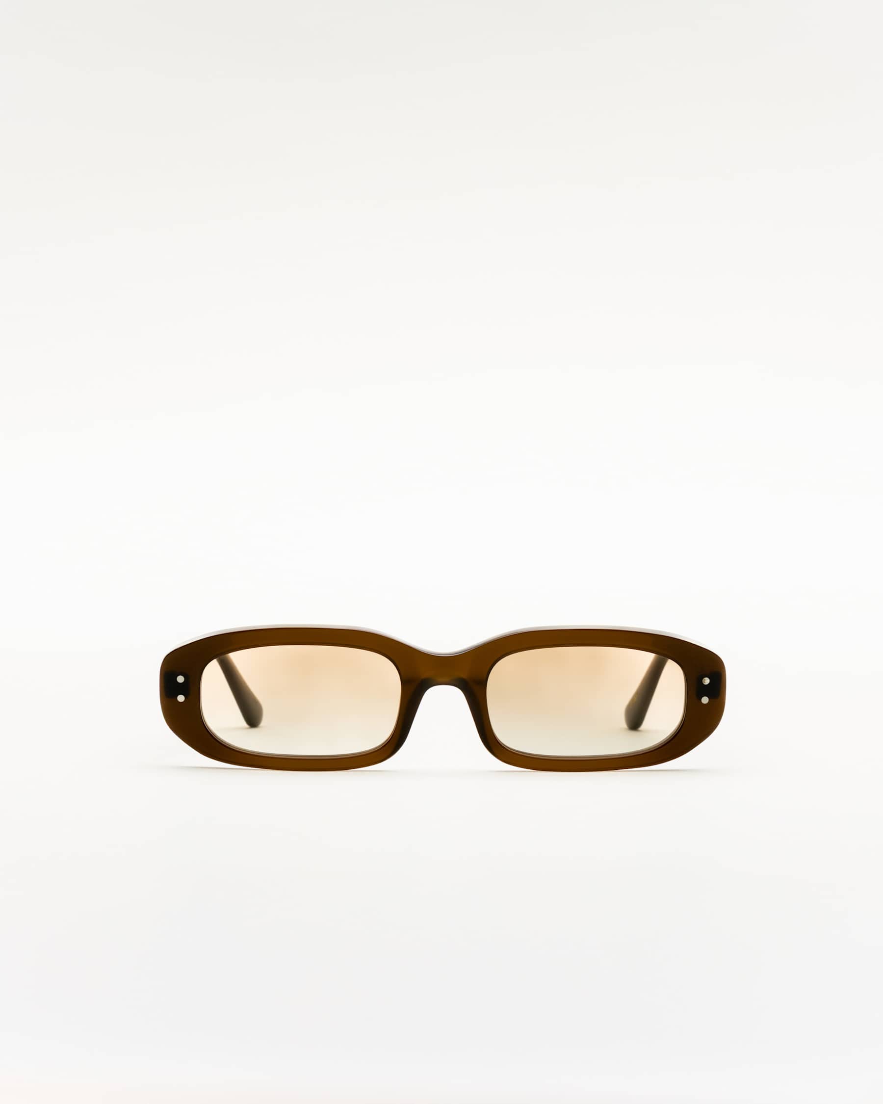 April Chocolate - Brown Gradient Lens